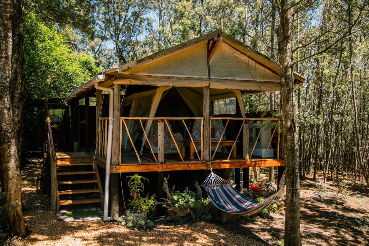 Brackenhills Private Nature Reserve Swellendam Exterior foto